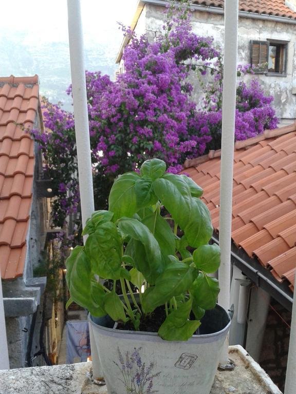 Apartments Milion Korčula Szoba fotó